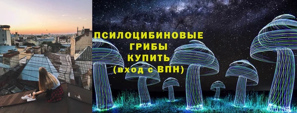 Альфа ПВП Арсеньев