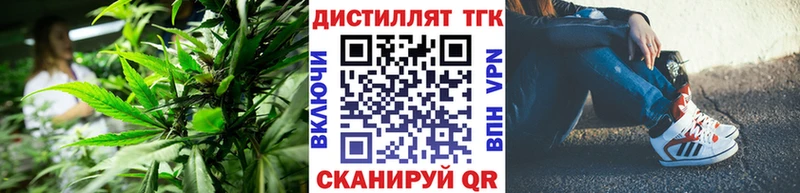 ТГК Wax  Бабушкин 