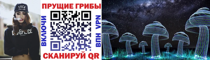 Псилоцибиновые грибы прущие грибы  закладки  Бабушкин 